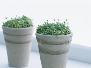 大阪HDCショールーム｜タカラスタンダードの最新キッチン・バス・洗面所を体験できるショールームガイド