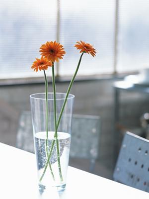 デザイン家具の買取をしている会社です