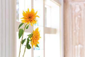 ナチュラルなオーダー学習机セット