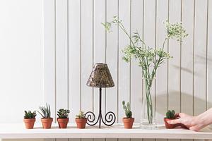 無垢フローリングを購入しやすい会社