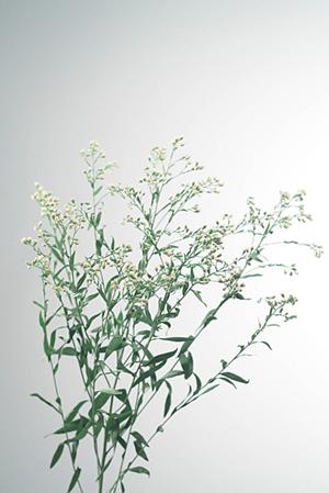 浜松のトイレリフォームの基本とは