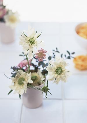 中古家具の買取委託販売ならコルト